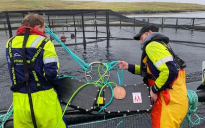 Cooke Aquaculture Scotland velger OptoScale