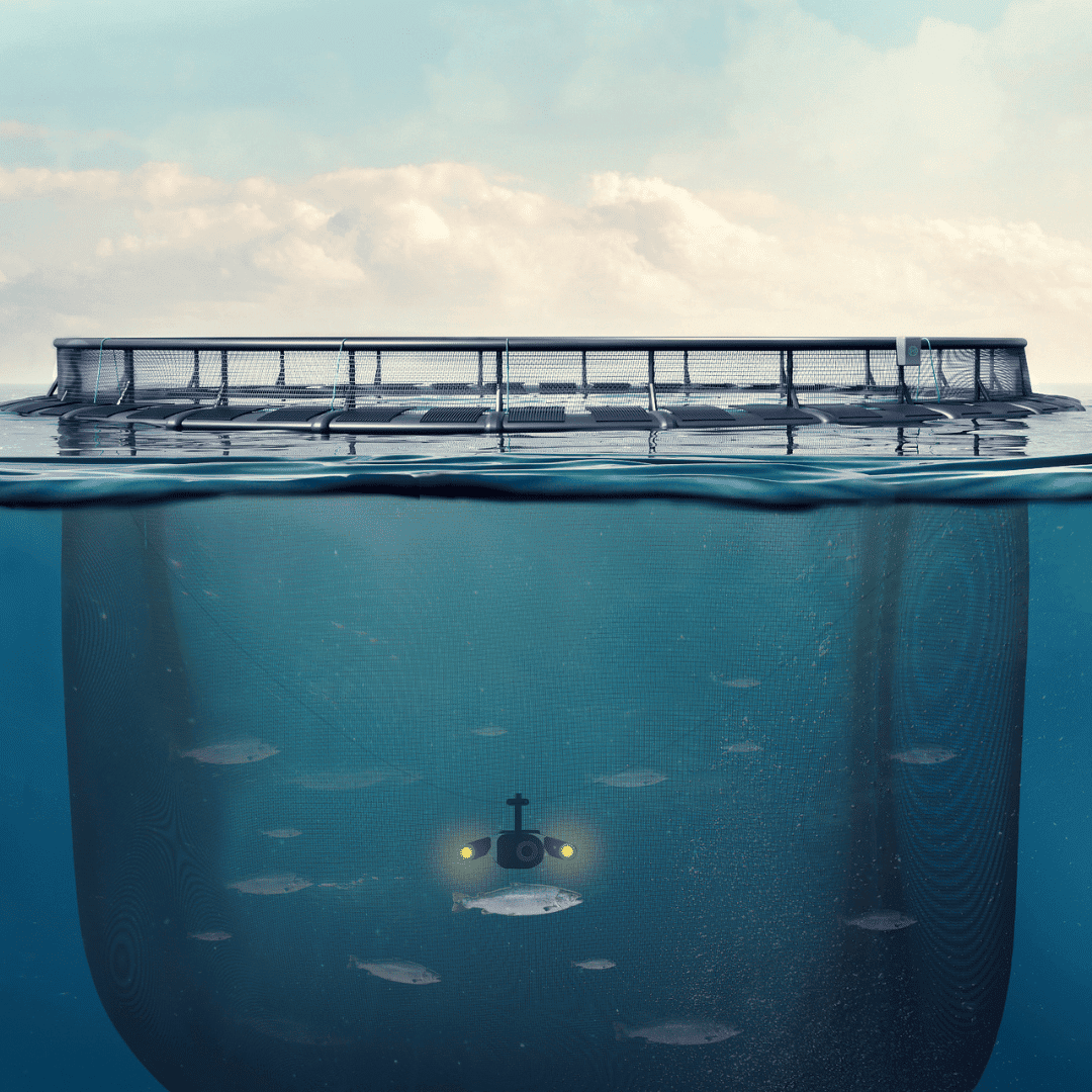 Optoscale Fishcage