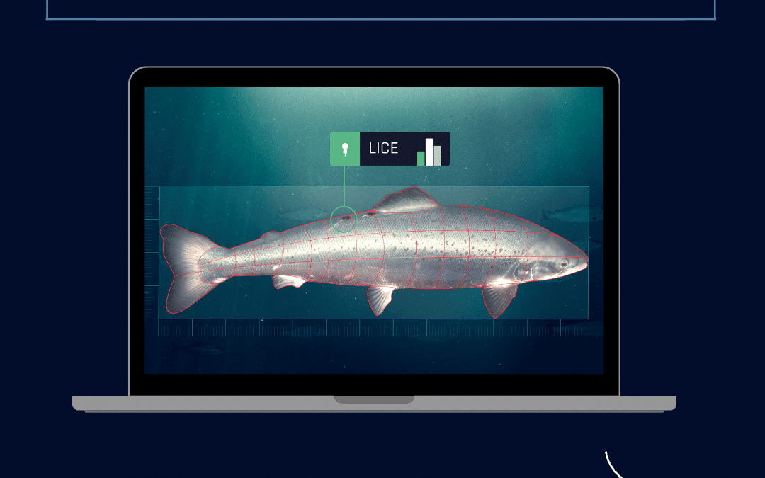 New updates on improved precision