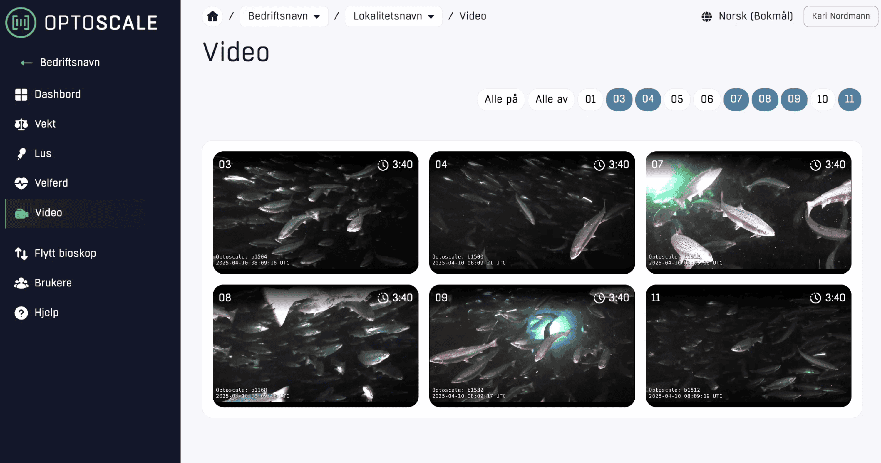 Live video
