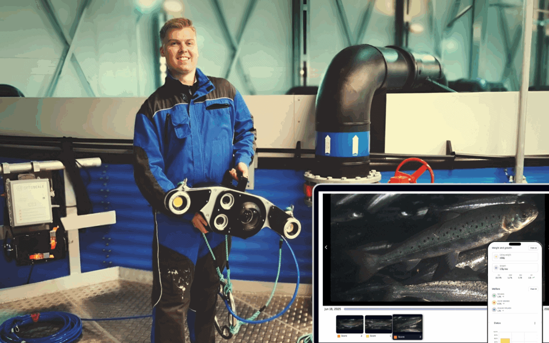 Små fisk. Store avgjørelser. Ny smoltsløsning tilgjengelig