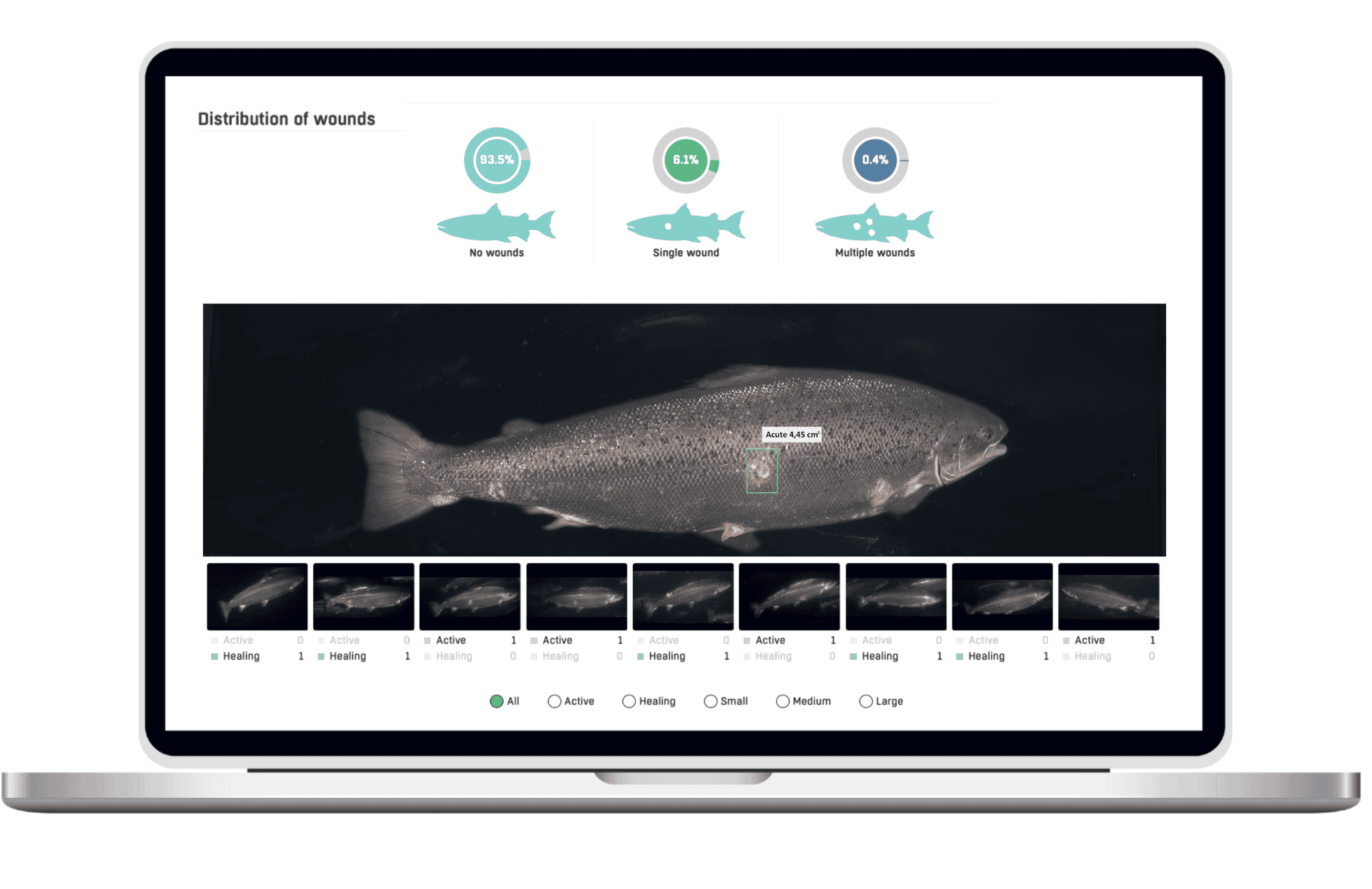 Wounds webportal