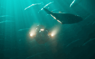 NYHET! Få full kontroll på fiskens adferd