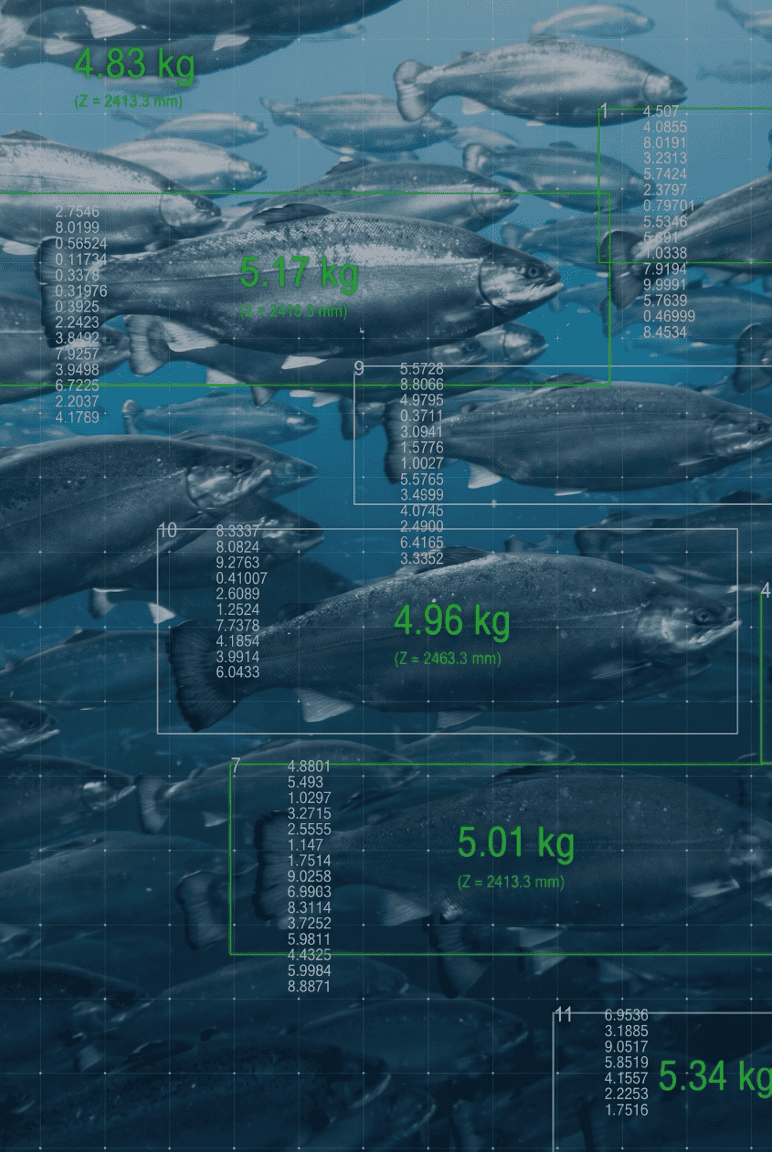 Biomassea